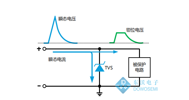 TVS管.JPG